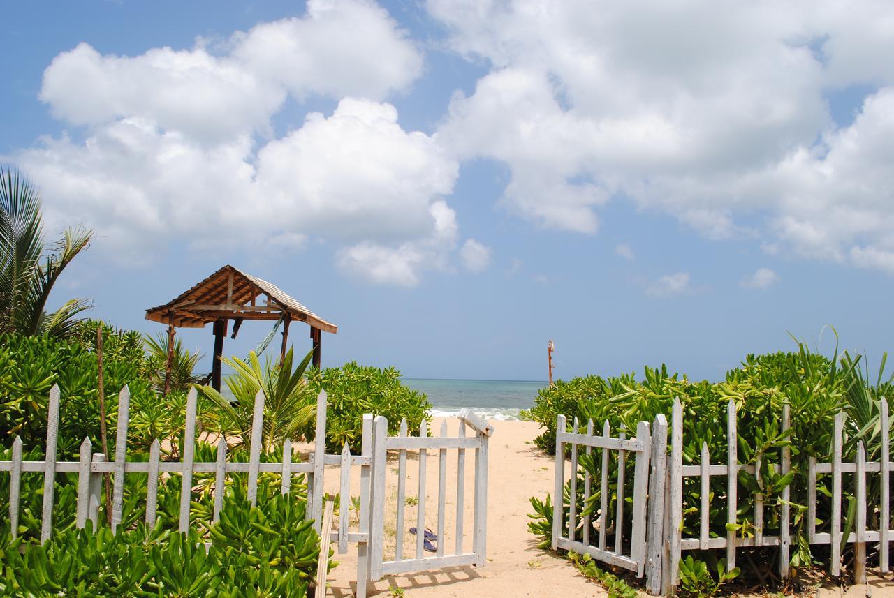 Asha Beach & Spa Тангалла Экстерьер фото