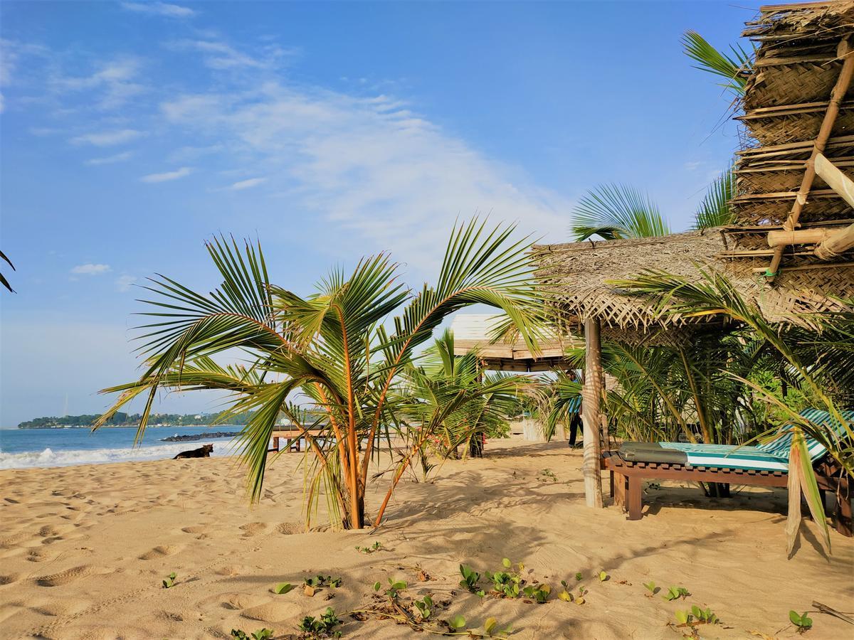 Asha Beach & Spa Тангалла Экстерьер фото